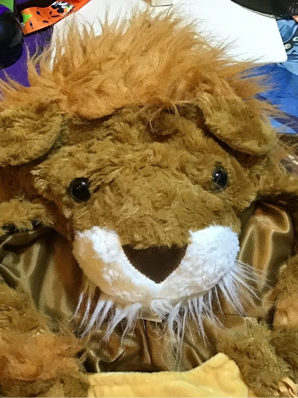 Hyde and eek lion halloween costume size 4-5
